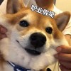 cQNPsvjwzdC